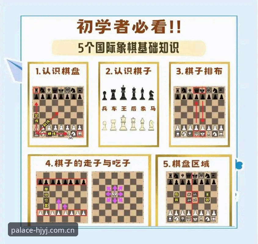 揭秘皇家国际娱乐体验：从入门到精通的实战指南